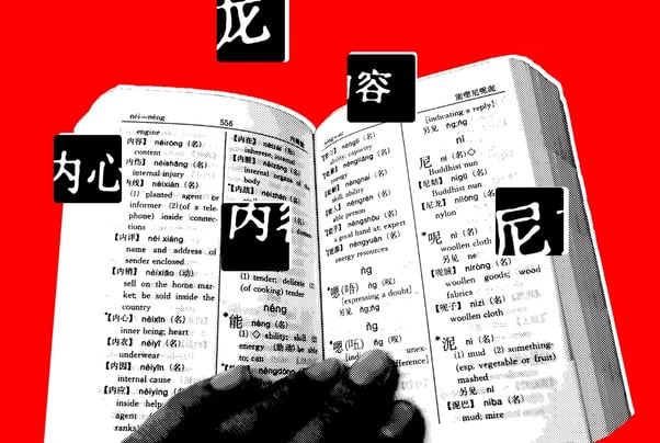 Politics_newsletter_american_chinese_tiktok