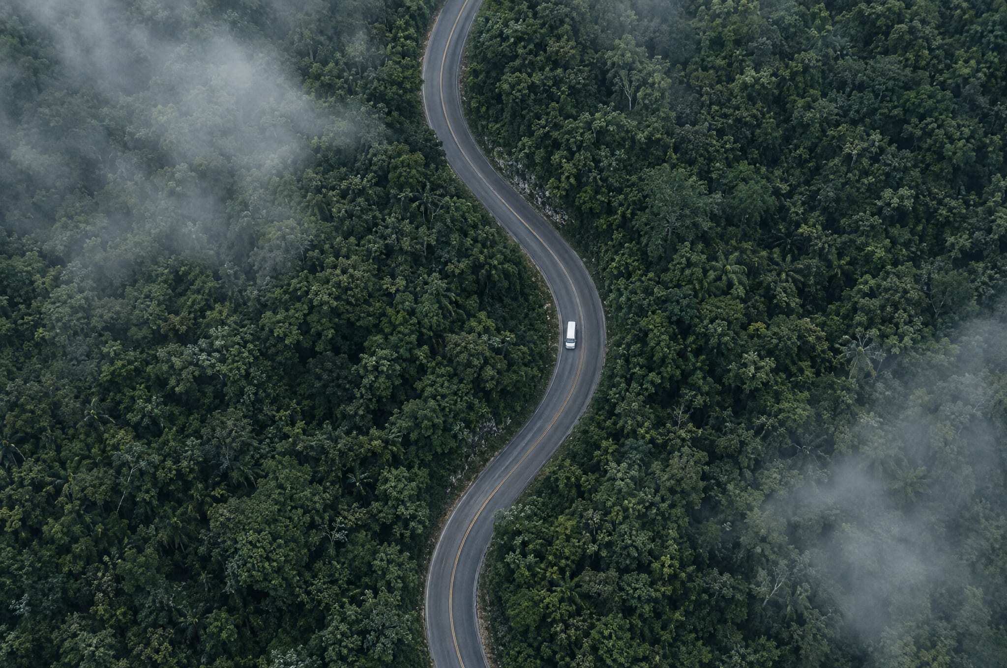 Top-down view of a road curving through dense jungle in Yucatán, one white van on it